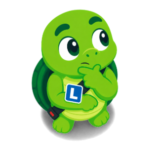 Turbo, la tortue mascotte d'Updrive, en pleine réflexion